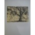 FLORICA - ION PILLAT , STEFAN POPESCU  1926 ( ex. 336 / 1003 cu semnaturile autorilor)